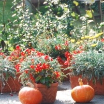 Charmehotel De stokerij te Oudenburg, West-Vlaanderen - Overnachten nabij Brugge, Oostende en De Haan